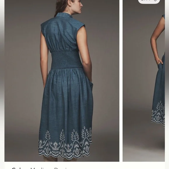 the tommie denim eyelet trim dress The Tommie Cap-Sleeve Smocked Front-Zip Shirt Dres